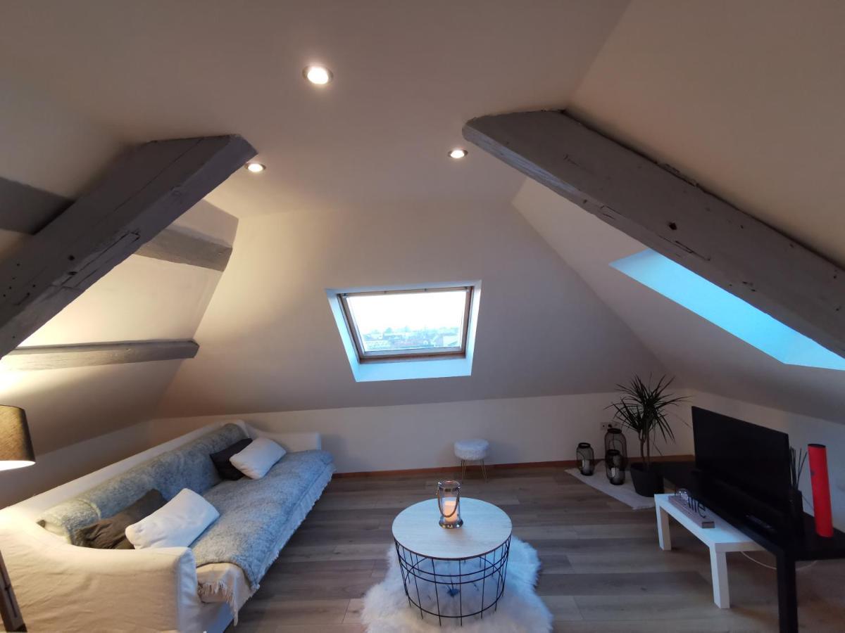 Apartmán Cosy Chic Erstein Exteriér fotografie